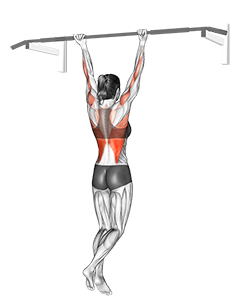 chin up (female) back small